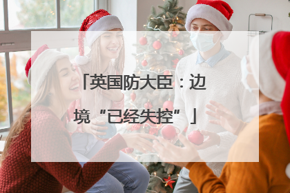英国防大臣：边境“已经失控”