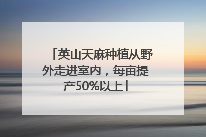 英山天麻种植从野外走进室内，每亩提产50%以上