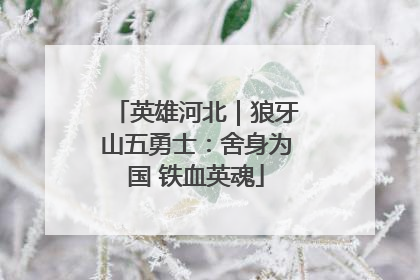 英雄河北｜狼牙山五勇士：舍身为国 铁血英魂