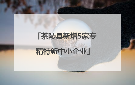 茶陵县新增5家专精特新中小企业