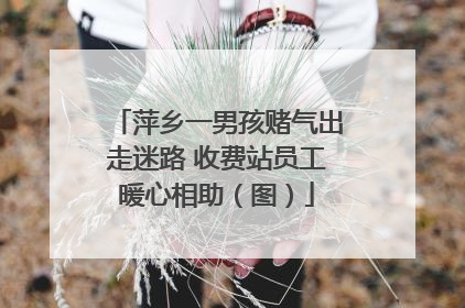 萍乡一男孩赌气出走迷路 收费站员工暖心相助（图）
