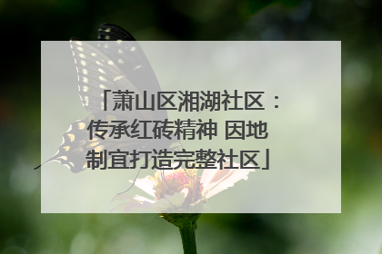 萧山区湘湖社区：传承红砖精神 因地制宜打造完整社区