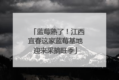 蓝莓熟了！江西宜春这家蓝莓基地迎来采摘旺季