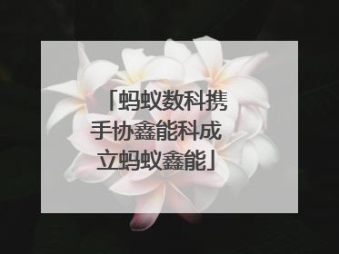 蚂蚁数科携手协鑫能科成立蚂蚁鑫能