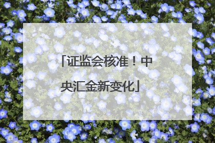 证监会核准！中央汇金新变化