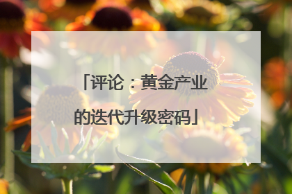 评论：黄金产业的迭代升级密码