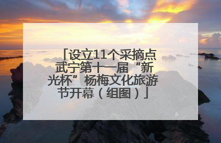 设立11个采摘点 武宁第十一届“新光杯”杨梅文化旅游节开幕（组图）