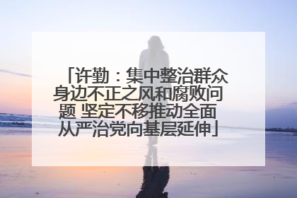 许勤：集中整治群众身边不正之风和腐败问题 坚定不移推动全面从严治党向基层延伸