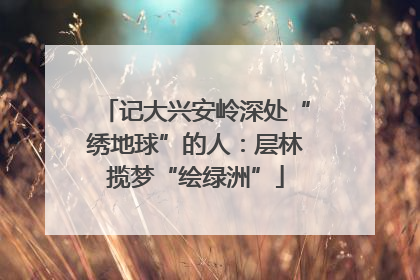 记大兴安岭深处“绣地球”的人：层林揽梦“绘绿洲”