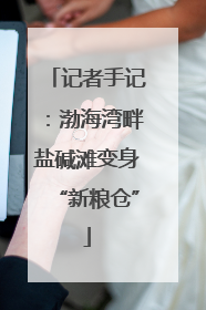 记者手记：渤海湾畔盐碱滩变身“新粮仓”