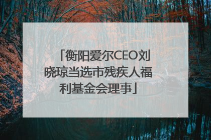 衡阳爱尔CEO刘晓琼当选市残疾人福利基金会理事