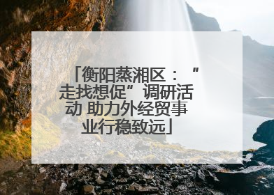 衡阳蒸湘区：“走找想促”调研活动 助力外经贸事业行稳致远