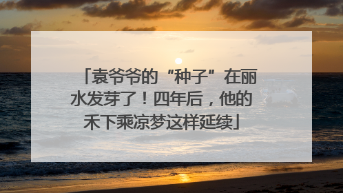 袁爷爷的“种子”在丽水发芽了！四年后，他的禾下乘凉梦这样延续