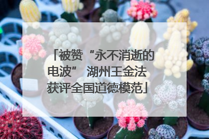 被赞“永不消逝的电波” 湖州王金法获评全国道德模范