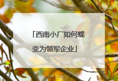 西南小厂如何蝶变为领军企业