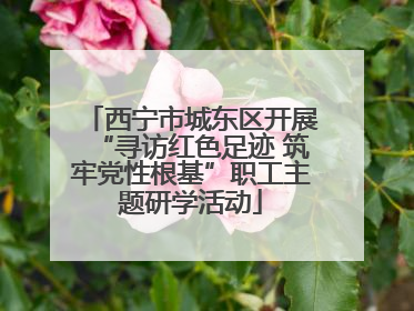 西宁市城东区开展“寻访红色足迹 筑牢党性根基”职工主题研学活动