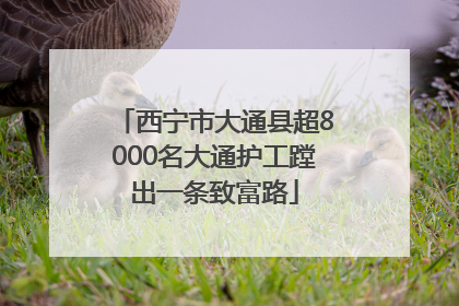 西宁市大通县超8000名大通护工蹚出一条致富路