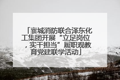 襄城消防联合泽东化工集团开展“立足岗位，实干担当”履职观教育党建联学活动