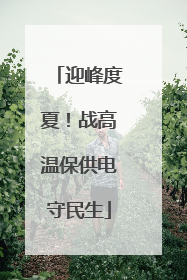 迎峰度夏！战高温保供电守民生