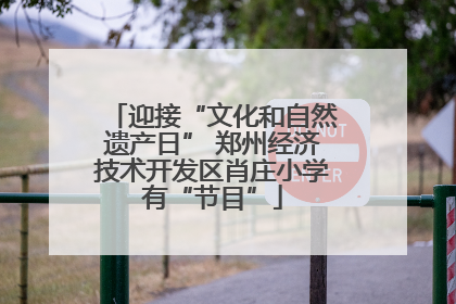 迎接“文化和自然遗产日” 郑州经济技术开发区肖庄小学有“节目”