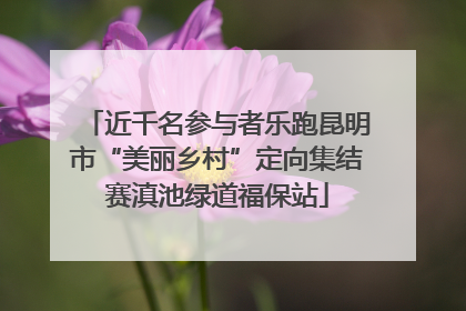 近千名参与者乐跑昆明市“美丽乡村”定向集结赛滇池绿道福保站