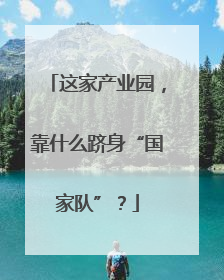 这家产业园，靠什么跻身“国家队”？