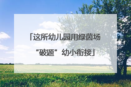 这所幼儿园用绿茵场“破题”幼小衔接