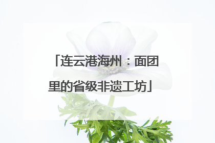 连云港海州：面团里的省级非遗工坊