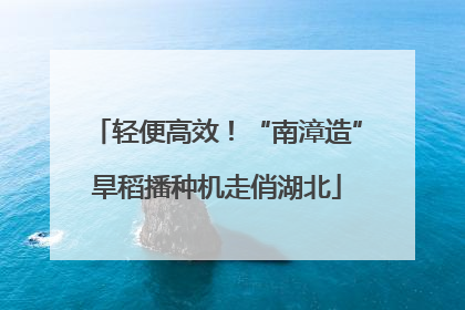 轻便高效！“南漳造”旱稻播种机走俏湖北
