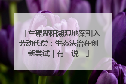 车碾鄱阳湖湿地案引入劳动代偿：生态法治在创新尝试｜有一说一