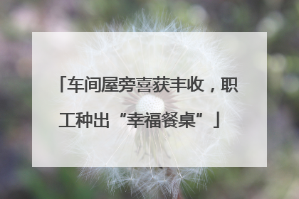车间屋旁喜获丰收，职工种出“幸福餐桌”