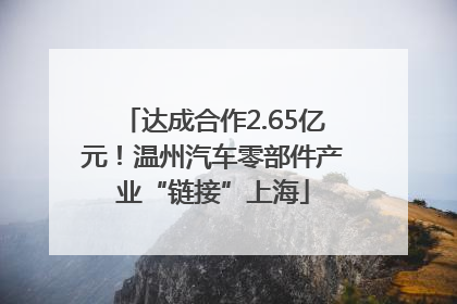 达成合作2.65亿元！温州汽车零部件产业“链接”上海