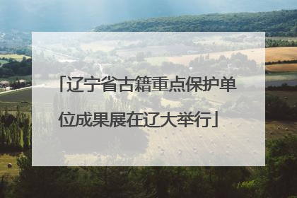 辽宁省古籍重点保护单位成果展在辽大举行