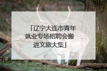 辽宁大连市青年就业专场招聘会搬进文旅大集