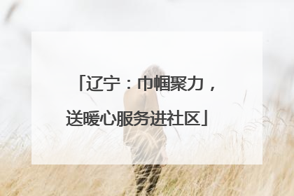 辽宁：巾帼聚力，送暖心服务进社区