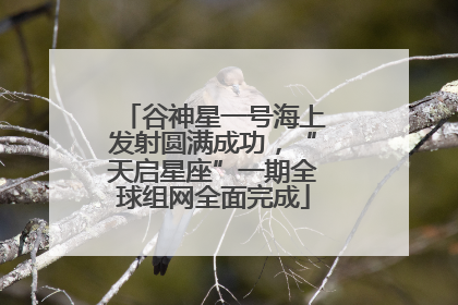 谷神星一号海上发射圆满成功，“天启星座”一期全球组网全面完成