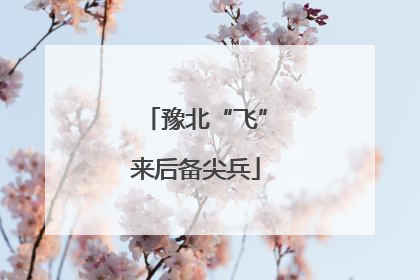 豫北“飞”来后备尖兵