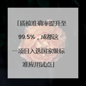 质检准确率提升至99.5%，成都这一项目入选国家级标准应用试点