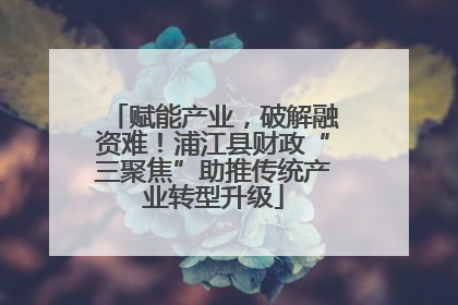 赋能产业，破解融资难！浦江县财政“三聚焦”助推传统产业转型升级