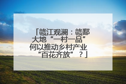 赣江观澜：赣鄱大地“一村一品”何以推动乡村产业“百花齐放”？