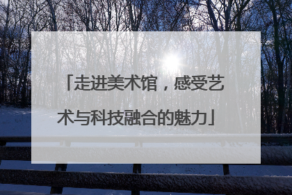 走进美术馆，感受艺术与科技融合的魅力