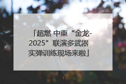 超燃 中柬“金龙-2025”联演多武器实弹训练现场来啦