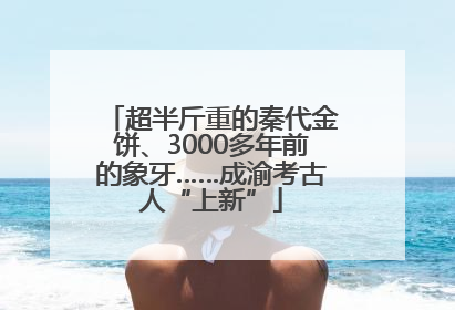 超半斤重的秦代金饼、3000多年前的象牙……成渝考古人“上新”