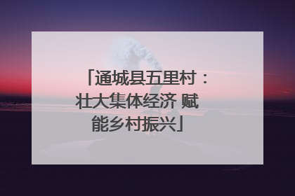 通城县五里村：壮大集体经济 赋能乡村振兴