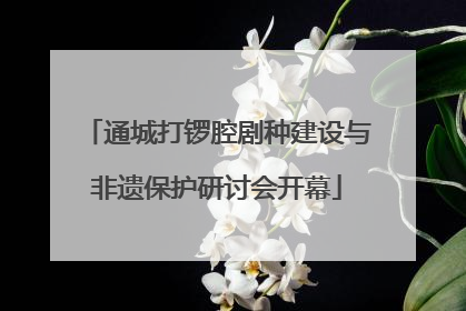 通城打锣腔剧种建设与非遗保护研讨会开幕