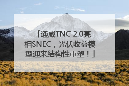 通威TNC 2.0亮相SNEC，光伏收益模型迎来结构性重塑！