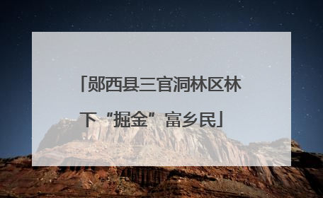 郧西县三官洞林区林下“掘金”富乡民