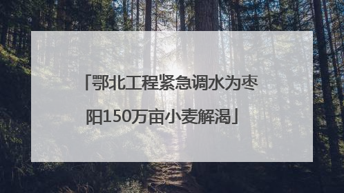 鄂北工程紧急调水为枣阳150万亩小麦解渴