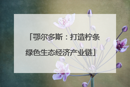 鄂尔多斯：打造柠条绿色生态经济产业链