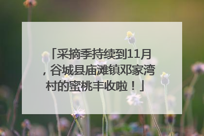 采摘季持续到11月，谷城县庙滩镇邓家湾村的蜜桃丰收啦！